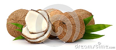 Coconut parts on white background Stock Photo