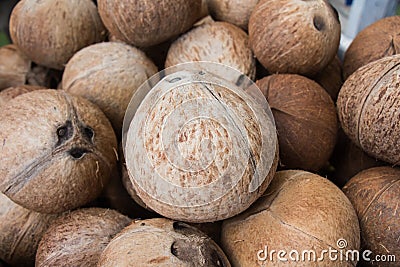 Coconut peel Stock Photo