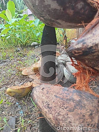 a coconut peeling tool that is often used by rural farmers Stock Photo