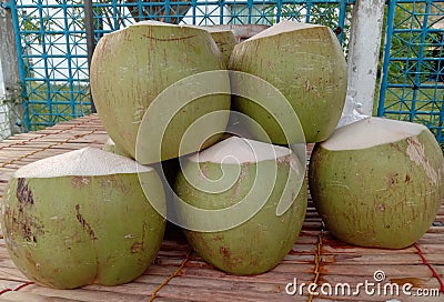 Coconut is a perennial plant. Belonging to the family of palm. Coconut is a plant which can be used in many ways. Stock Photo