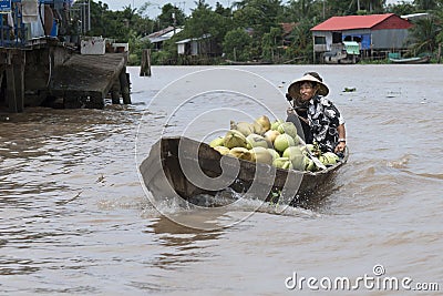 Coconut seller on a boat with coconuts in a floating market on the Mekong river in Vietnam Editorial Stock Photo