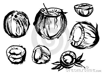 Coconut in a set of black paint drawing with a dry brush Stock Photo