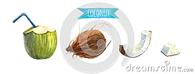 Coconut set, watercolor illustration with clipping path Cartoon Illustration