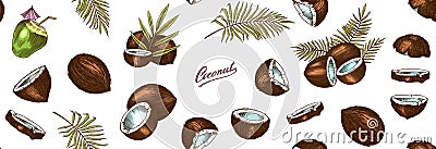 Coconut sketch. Tropical food and palm leaf. Retro ink style. Hand drawn vector illustration for market, menu, label Vector Illustration