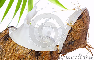 Coconut splash Stock Photo