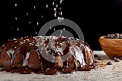 Coconut sprinkles falling onto a delicious chocolate cake Stock Photo