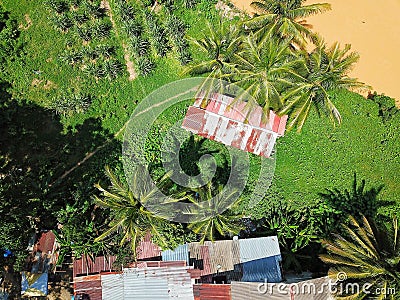 Coconut Tree With Green Grass And Croped River Stock Photo