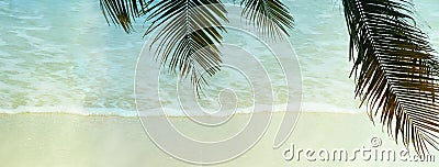 Coconut tree green leave on summer blue sea wave foam nature vacation banner background Stock Photo