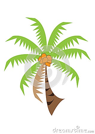 Coconut palm tree green leaves dried Stock Photo