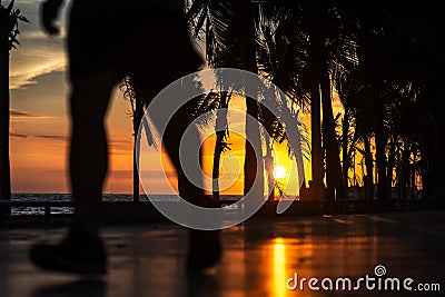 Coconut tree near the beach and blur legs people on the road Stock Photo