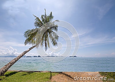 Coconut tree slope above sea with cloudy blue sky and islands background in bright sunny day Stock Photo