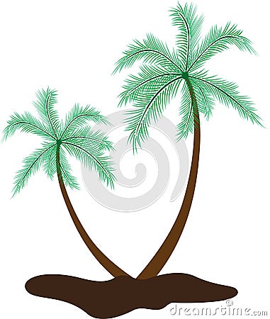 Coconut tree Vector Illustration