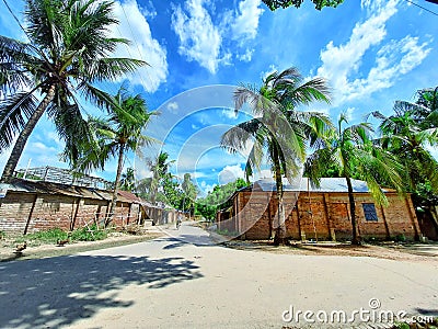 Coconut trees lined the village Stock Photo
