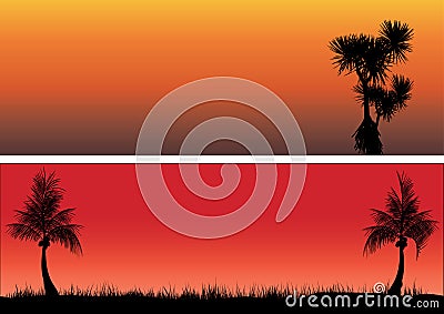 Coconut trees and pandanas in the sunset Stock Photo