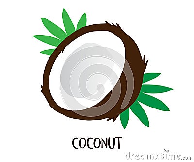 Coconut Vector Illustration