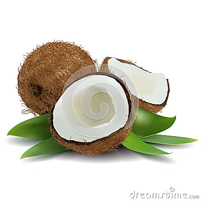 Coconut Stock Photo