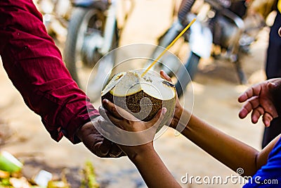 Coconut water in coconut with straw handed over to a kid by seller. natural tropical drink. Stock Photo