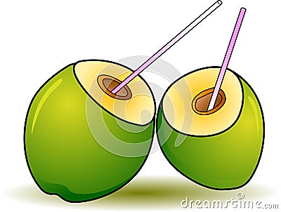 Coconut water drink Vector Illustration