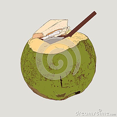 Coconut Water Drink, Green coconut . Vector Illustration
