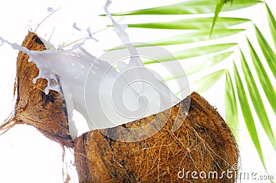 Coconut wave Stock Photo