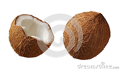 Coconuts Stock Photo