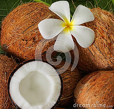 Coconuts Stock Photo