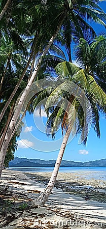 Beautiful tropical beach, Port Barton, Philippines Editorial Stock Photo