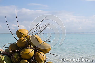 Coconuts, Boca Chica beach, Dominican republic, Caribbean Stock Photo