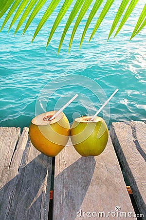 Coconuts cocktail palm tree leaf in Caribbean Stock Photo