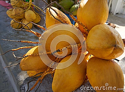 Coconuts for drinking water in Caribbean Stock Photo