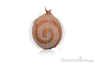 Coconuts isolated Stock Photo