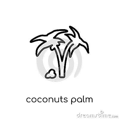 Coconuts palm tree of Brazil icon from Brazilian icons collectio Vector Illustration