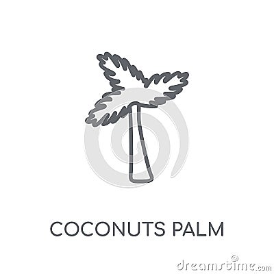 Coconuts palm tree of Brazil linear icon. Modern outline Coconut Vector Illustration
