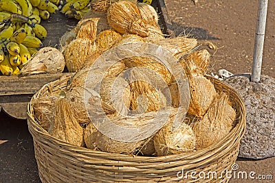 Coconuts for puja Stock Photo