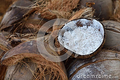 Coconuts sale in market thailand Stock Photo