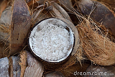 Coconuts sale in market thailand Stock Photo