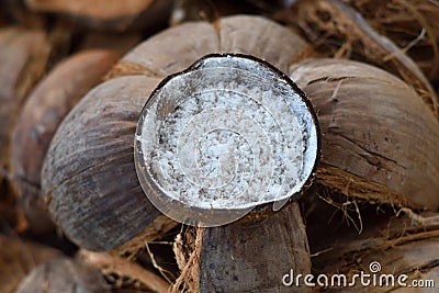 Coconuts sale in market thailand Stock Photo