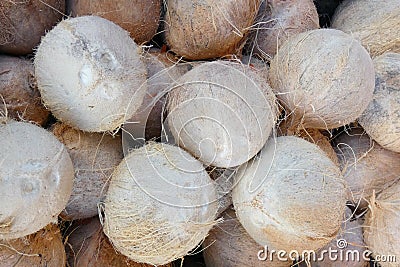 Coconuts Stock Photo