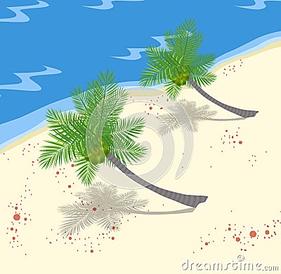 Coconuts Tree On The Beach Vector Illustration