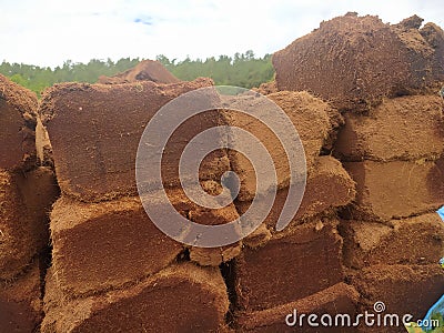 Cocopeat planting media from compacted fine coconut powder Stock Photo