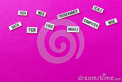 Code computer programmer data text on pink background. Flat color design computer for developer techonolgy advertising. Women Stock Photo