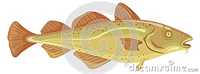 Codfish icon. Cartoon underwater animal. Seafood symbol Vector Illustration
