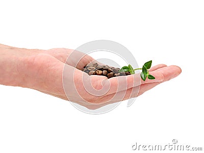 Coffe Stock Photo