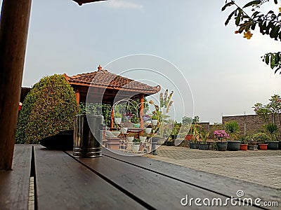 Coffe shop love green plant and blue sky Stock Photo