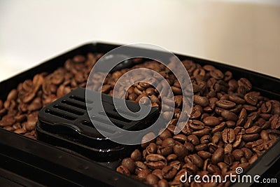 Vivacity in the morning Stock Photo