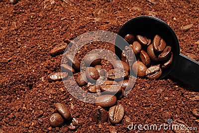 Coffee Stock Photo