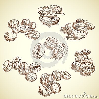 Coffee bean Vector Illustration