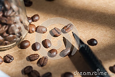 Coffee bean. Stock Photo