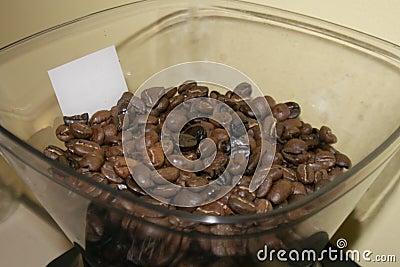 Coffee bean in a plastic container Stock Photo