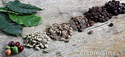 Coffee beans Stock Photo